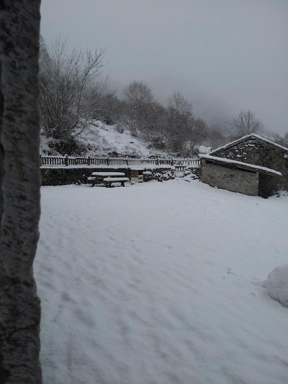 Venta La Aurora Villa Beleño Oda fotoğraf